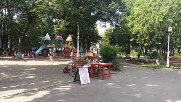 blog