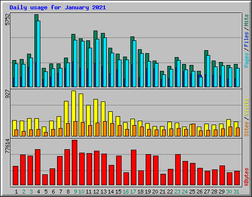 Daily usage for January 2021