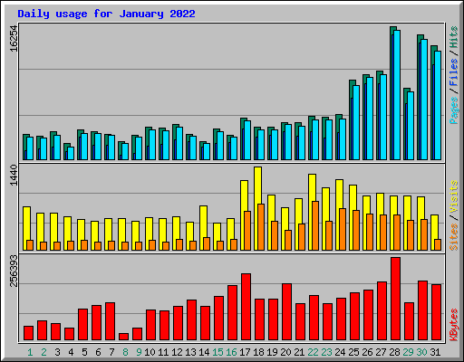 Daily usage for January 2022