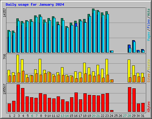 Daily usage for January 2024