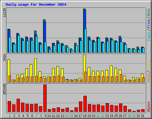 Daily usage for December 2024