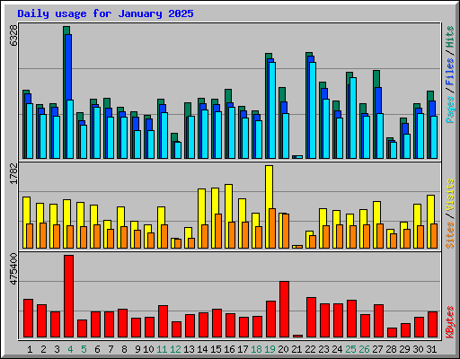 Daily usage for January 2025