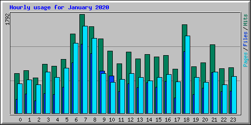 Hourly usage for January 2020