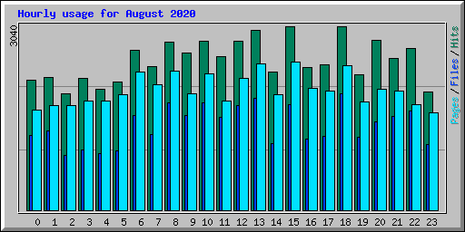 Hourly usage for August 2020