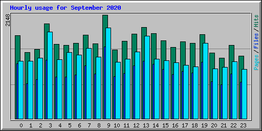 Hourly usage for September 2020