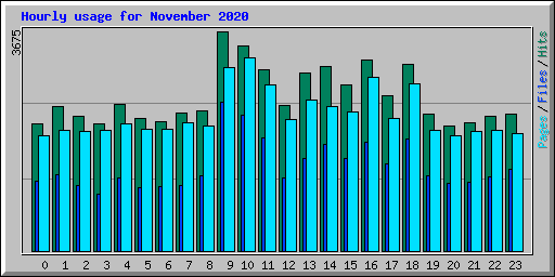 Hourly usage for November 2020