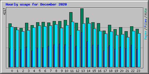 Hourly usage for December 2020