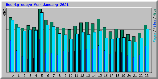 Hourly usage for January 2021