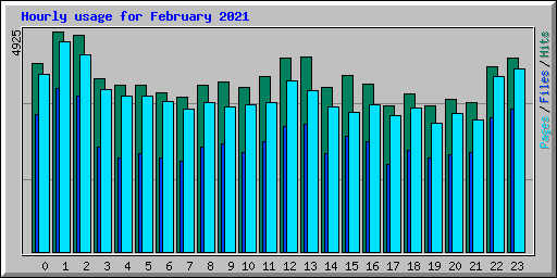 Hourly usage for February 2021