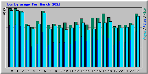 Hourly usage for March 2021