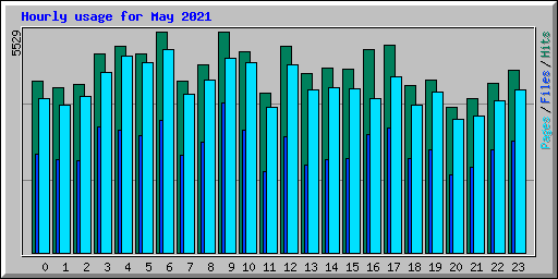 Hourly usage for May 2021