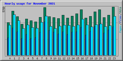 Hourly usage for November 2021