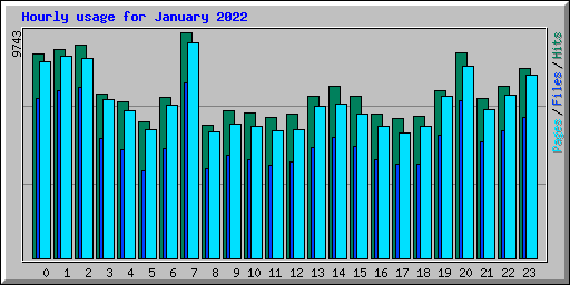 Hourly usage for January 2022