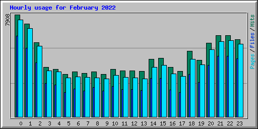 Hourly usage for February 2022