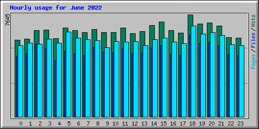 Hourly usage for June 2022