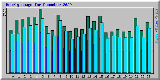 Hourly usage for December 2022