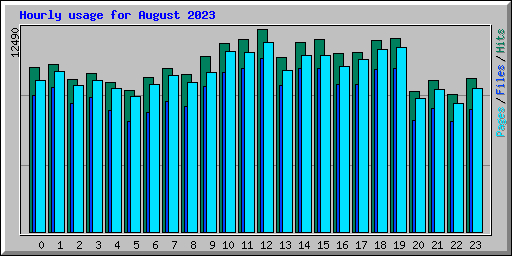 Hourly usage for August 2023