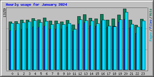 Hourly usage for January 2024