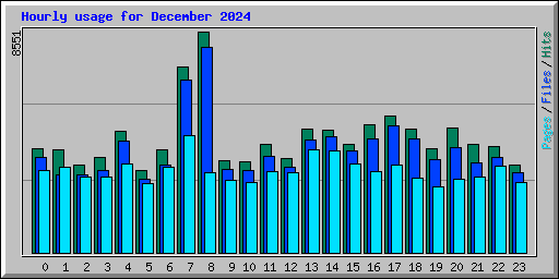Hourly usage for December 2024