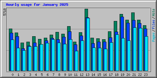 Hourly usage for January 2025