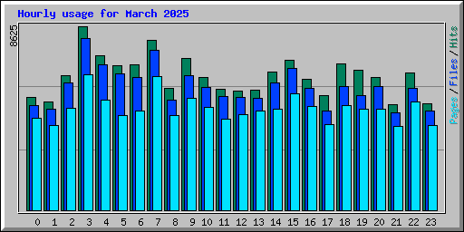 Hourly usage for March 2025